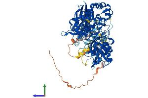 Protein Structure (PS) image for Phospholipase C delta 3 (PLCd3) (AA 1-785) protein (His tag) (ABIN7564635)