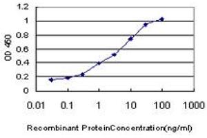 Detection limit for recombinant GST tagged POLI is approximately 0. (POLI 抗体  (AA 616-715))