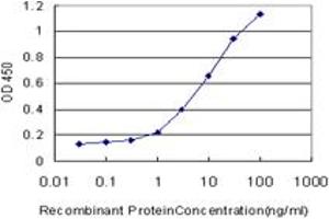 Detection limit for recombinant GST tagged TSC22D4 is approximately 0. (TSC22D4 抗体  (AA 1-395))
