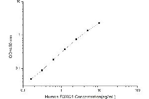 Typical standard curve (FOXO1 ELISA 试剂盒)