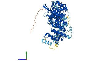AlphaFold protein structure predicition of Mouse Recombinant Nelfcd Protein, UniprotID Q922L6