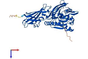 AlphaFold protein structure predicition of Mouse Recombinant Acot3 Protein, UniprotID Q9QYR7