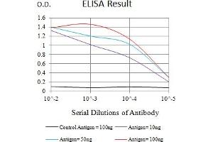 Black line: Control Antigen (100 ng),Purple line: Antigen (10 ng), Blue line: Antigen (50 ng), Red line:Antigen (100 ng) (ICOSLG 抗体  (AA 19-256))
