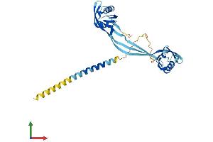 Protein Structure (PS) image for N-Myc (And STAT) Interactor (NMI) (AA 1-314) protein (His tag) (ABIN7562299)