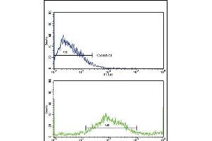 Flow cytometric analysis of NCI- cells using SAR1A Antibody (Center)(bottom histogram) compared to a negative control cell (top histogram). (SAR1A 抗体  (AA 122-149))