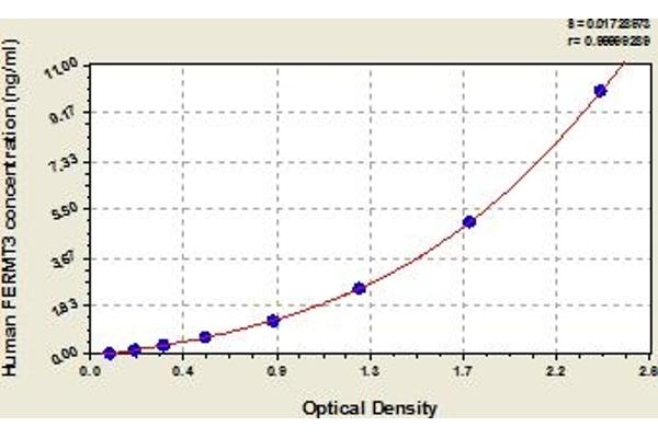 FERMT3 ELISA 试剂盒