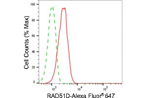 Flow cytometric analysis of RAD51D expression in HeLa cells using RAD51D antibody (ABIN7800120), 1:2,000).