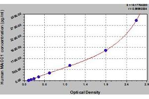 Typical Standard Curve (MACC1 ELISA 试剂盒)