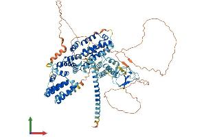 Protein Structure (PS) image for RAS Guanyl Releasing Protein 1 (Calcium and DAG-Regulated) (RASGRP1) (AA 1-795) protein (His tag) (ABIN7565281)