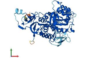 AlphaFold protein structure predicition of Human Recombinant AMDHD2 Protein, UniprotID Q9Y303