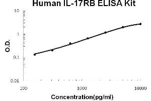 Human IL-17RB PicoKine ELISA Kit standard curve (IL17 Receptor B ELISA 试剂盒)