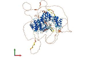Protein Structure (PS) image for Family with Sequence Similarity 120A (FAM120A) (AA 1-1118) protein (His tag) (ABIN7553868)