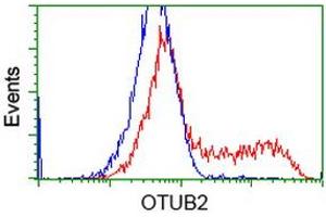 HEK293T cells transfected with either RC209650 overexpress plasmid (Red) or empty vector control plasmid (Blue) were immunostained by anti-OTUB2 antibody (ABIN2453412), and then analyzed by flow cytometry. (OTUB2 抗体)