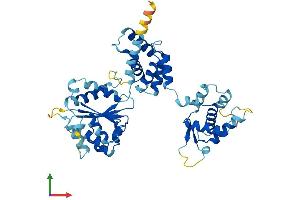Protein Structure (PS) image for Origin Recognition Complex, Subunit 4 (ORC4) (AA 1-436) protein (His tag) (ABIN7550326)