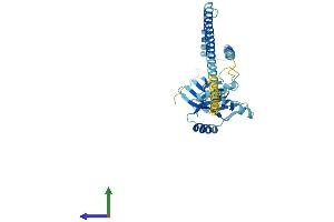 Protein Structure (PS) image for Proteasome (Prosome, Macropain) 26S Subunit, Non-ATPase, 7 (PSMD7) (AA 1-324) protein (His tag) (ABIN7551086)