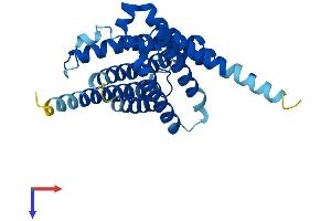 AlphaFold protein structure predicition of Human Recombinant AQP11 Protein, UniprotID Q8NBQ7 (AQP11 Protein (AA 1-271) (His tag))