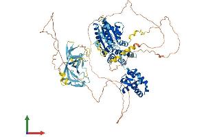 Protein Structure (PS) image for Origin Recognition Complex, Subunit 1 (ORC1L) (AA 1-840) protein (His tag) (ABIN7565278)