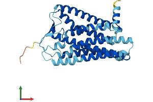 Protein Structure (PS) image for Olfactory Receptor, Family 4, Subfamily D, Member 2 (OR4D2) (AA 1-307) protein (His tag) (ABIN7550309)