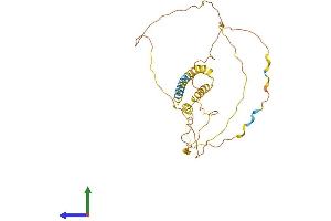 AlphaFold protein structure predicition of Mouse Recombinant Prrt1 Protein, UniprotID O35449 (PRRT1 Protein (AA 1-306) (His tag))