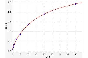 Typical standard curve (MST1L ELISA 试剂盒)