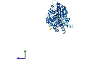Protein Structure (PS) image for Cleavage and Polyadenylation Specific Factor 3-Like (CPSF3L) (AA 1-600) protein (His tag) (ABIN7560682)