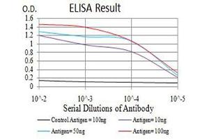 Black line: Control Antigen (100 ng),Purple line: Antigen (10 ng), Blue line: Antigen (50 ng), Red line:Antigen (100 ng) (ADAR 抗体  (AA 1085-1223))