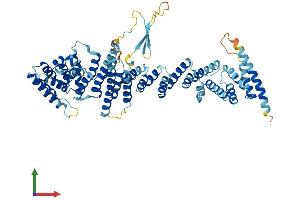 Protein Structure (PS) image for Nucleoporin 85kDa (NUP85) (AA 1-656) protein (His tag) (ABIN7564707)