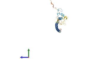 Protein Structure (PS) image for Ring Finger Protein 187 (RNF187) (AA 1-235) protein (His tag) (ABIN7551492)