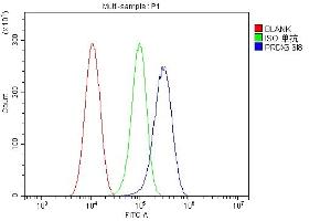 Flow Cytometry analysis of Hela cells using anti-PRDX6 antibody (ABIN7600102). (Peroxiredoxin 6 抗体  (AA 15-224))
