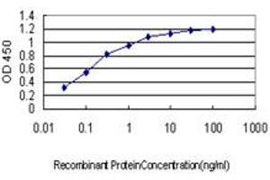 Detection limit for recombinant GST tagged IMPDH1 is approximately 0. (IMPDH1 抗体  (AA 201-300))