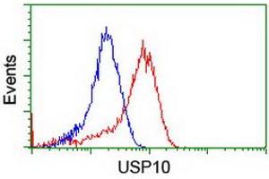 Image no. 12 for anti-Ubiquitin Specific Peptidase 10 (USP10) antibody (ABIN1501687) (USP10 抗体)