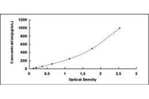 Syndecan 1 (SDC1) ELISA Kit