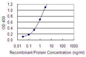 Detection limit for recombinant GST tagged MAGEA2 is 0. (MAGEA2 抗体  (AA 1-314))