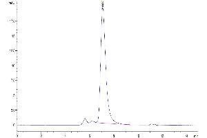 Size-exclusion chromatography-High Pressure Liquid Chromatography (SEC-HPLC) image for Apolipoprotein A-I (APOA1) (AA 25-264) protein (Fc Tag) (ABIN7273870)