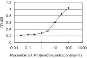 Detection limit for recombinant GST tagged FOXO3A is approximately 1ng/ml as a capture antibody. (FOXO3 抗体  (AA 361-460))