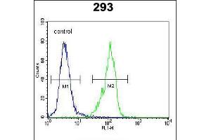 Flow cytometric analysis of 293 cells (right histogram) compared to a negative control cell (left histogram). (GAL 抗体  (C-Term))