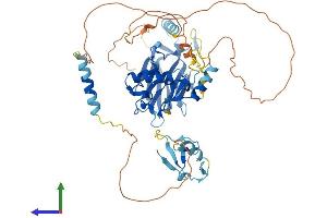 Protein Structure (PS) image for U-Box Domain Containing 5 (UBOX5) (AA 1-541) protein (His tag) (ABIN7551531)