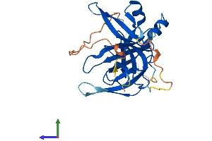Protein Structure (PS) image for Spindlin 1 (SPIN1) (AA 1-262) protein (His tag) (ABIN7546385)