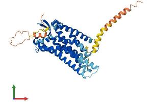 Protein Structure (PS) image for Angiotensin II Receptor, Type 2 (AGTR2) (AA 1-363) protein (His tag) (ABIN7563166)