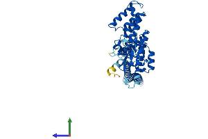 Protein Structure (PS) image for Macrophage erythroblast Attacher (MAEA) (AA 1-396) protein (His tag) (ABIN7557401)