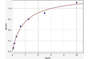 Chemokine (C-X-C Motif) Ligand 16 (CXCL16) ELISA Kit