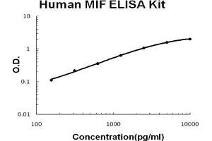 Human MIF PicoKine ELISA Kit standard curve