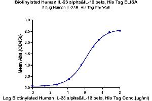 Immobilized Human IL-23R, His Tag at 5 μg/mL (100 μL/well) on the plate.