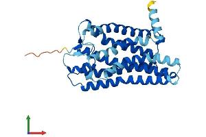 Protein Structure (PS) image for Olfactory Receptor, Family 1, Subfamily A, Member 2 (OR1A2) (AA 1-309) protein (His tag) (ABIN7550351)