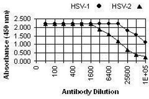 ELISA image for anti-Herpes Simplex Virus, Glycoprotein B (HSV gB) antibody (ABIN265573) (HSV gB 抗体)