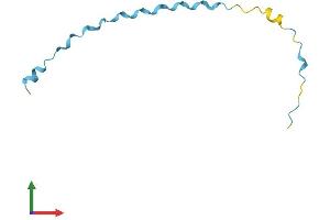 Protein Structure (PS) image for Small Proline-Rich Protein 2F (SPRR2F) (AA 1-72) protein (Fc Tag) (ABIN7546278)