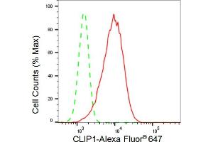 Flow cytometric analysis of CLIP1 expression in HepG2 cells using CLIP1 antibody (ABIN7797861), 1:2,000). (Recombinant CLIP1 抗体)