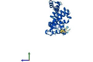 Protein Structure (PS) image for GID Complex Subunit 8 Homolog (GID8) (AA 1-228) protein (His tag) (ABIN7561089)