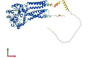 Protein Structure (PS) image for Glycerophosphodiester Phosphodiesterase Domain Containing 5 (GDPD5) (AA 1-607) protein (His tag) (ABIN7557805)