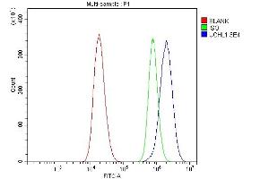 Flow Cytometry analysis of 293T cells using anti-PGP9. (UCHL1 抗体  (C-Term))